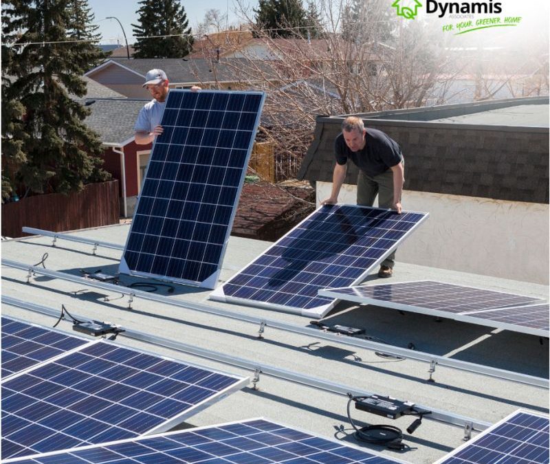 Dynamis solar PV – just the right size