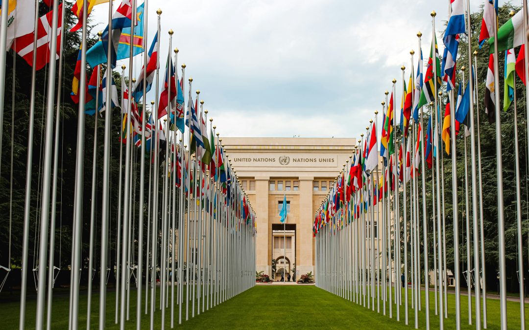 COP 29 – observations from Baku