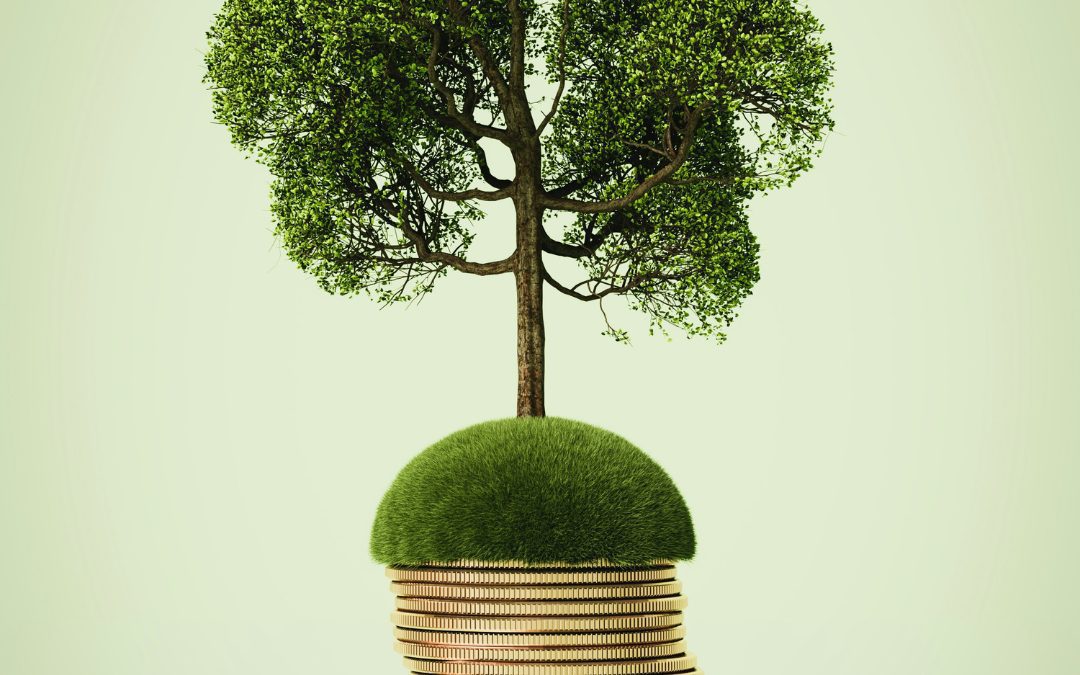 ESOS PHASE 4 PLANNING: WHAT YOU SHOULD DO IN 2026