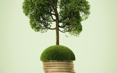 ESOS PHASE 4 PLANNING: WHAT YOU SHOULD DO IN 2026