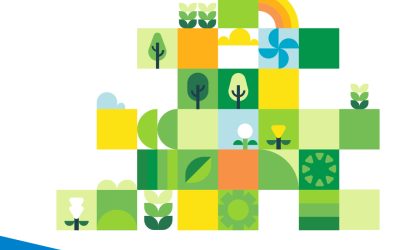 11 Reasons to Use an Independent Environmental Reporting Consultancy